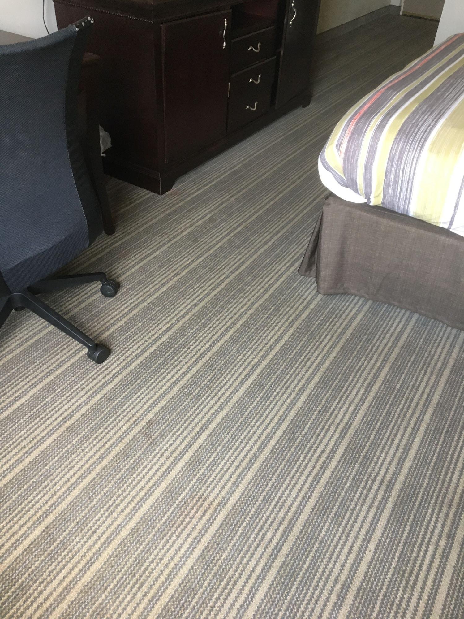 Baymont By Wyndham Sumter Hotel Екстериор снимка